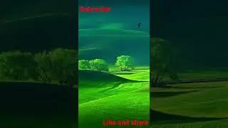Josh status and whatsapp status video funny status video