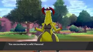 Shiny Haxorus after 1496 resets!|Pokemon Sword and Shield