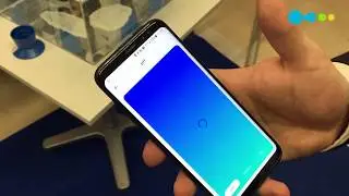TUTORIAL ¿Cómo usar Blue Connect?