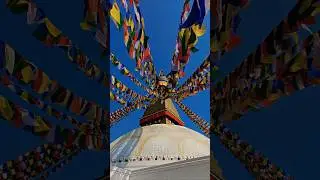 walk for peace 🕊️ #walkforpeace #peaceforworld #peace #trending #youtube
