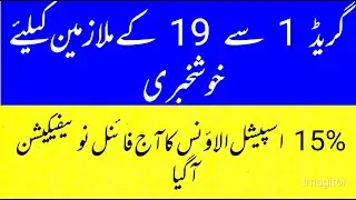 clarification about Special Allowance 2022  || special allowance punjab govt employees