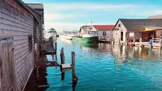 Fishtown short