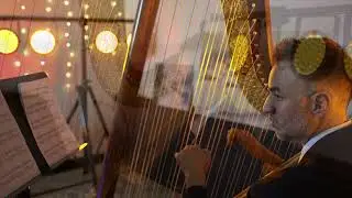 Solo Harp