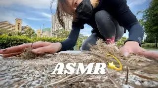 ASMR 🏊‍♀️FAST but NOT too AGGRESSIVE💦 (2nd part in the park) Mostly Floor Scratching and Tapping