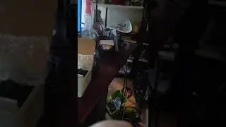 Nady SP-5 Microphone Proof of Life Video for Reverb