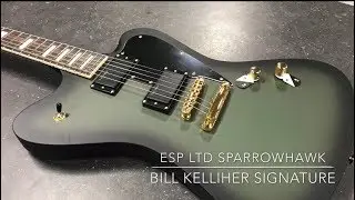 LTD SPARROWHAWK Bill KELLIHER Signature Guitar