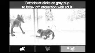 Alpha Wolf