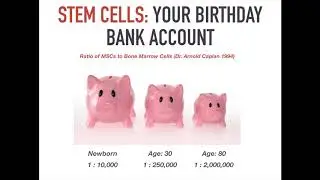Stem Cells  The Quantity and Quality of Healing Power (Stem Cell Therapy Rx - Tulsa, Oklahoma)
