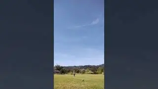 Obsession defcon m2 6 montec M3 g5s 70 yd 70 lb flight test. Mostly my fault.