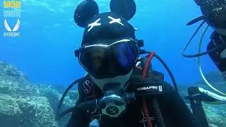 Hydrone 3mm Mickey Scuba Diving Hood🤿 #scubadiving #scubahood #divinghood #mickeyhood