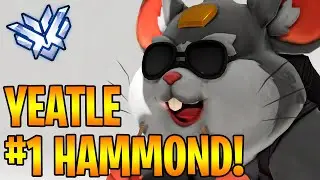 YEATLE HAMMOND OVERWATCH GAMEPLAY SEASON 28 TOP 500