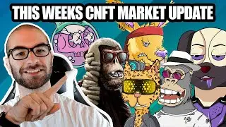 Обновление рынка CNFT №10 &mdash; Ada Invadaz, Clay Nation, Ape Society, Cornucopias, Chilled Kongs!