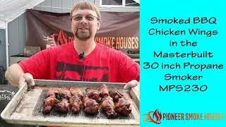 Smoked BBQ Chicken Wings in the Masterbuilt 30-inch Propane Smoker MPS230