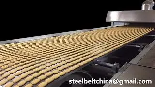 CT1300 High Strength Carbon Steel Belts for Biscuit Baking Oven Conveyor