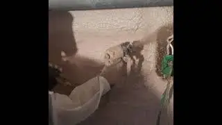 Basement Spray Foam Insulation for Older Homes, Stone Walls, Concrete Blocks - Reitzel Insulation