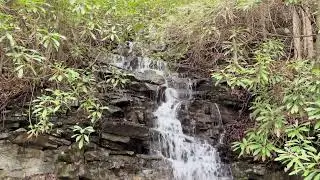 Lehigh Gorge bike trip