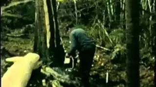 T&oslash;mmerdrift p&aring; Taraldlien