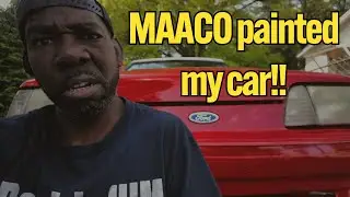 Did Mako Actually DESTROY My Car Paint Job?