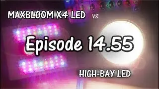 MaxBloom vs High Bay LED Grow Light Ep. 14.55 (More Problems)
