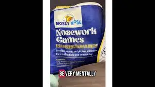 Best Brain Game for Dogs 🐾 | Nosework Training for Mental Stimulation & Enrichment