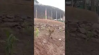 Agriculture land for sale near Pune Maharashtra. best FARM HOUSE PLOT in india.