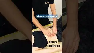 Visceral mobilization in Visceral Osteopathy. #visceralmanipulation #visceralmobilization