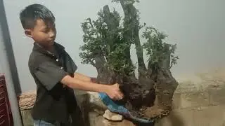 Dgl..M69.cẩm thị 1500k.lh Zalo 0817177855.duy