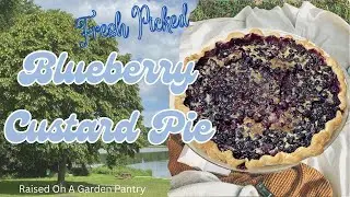Blueberry Custard pie