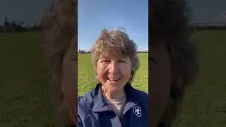 What a load of ****!  How do you destress? #stressrelief #worklifebalance #horse #businessowner
