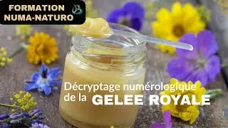 Formation NUMA-NATURO - D&eacute;cryptage num&eacute;rologique de le GELEE ROYALE 🐝