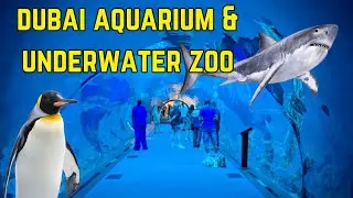 [4K] Dubai Aquarium and Underwater Zoo | Dubai Mall | Dubai | UAE