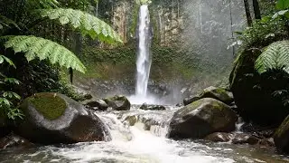 Forest Zen: River Sounds for Instant Calm & Stress Relief (Natural Mood Booster)