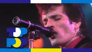 Mink DeVille - Demasiado Corazon (Too Much Heart) - Live in 1985 • TopPop