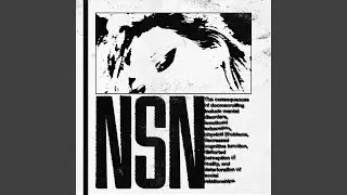 NSN