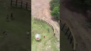 Indiana Jones in Real Life! (@outdoorgravitypark)