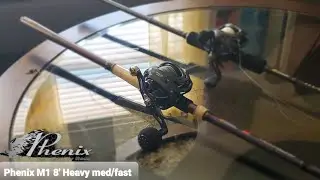Team Daiwa! NEW Phenix M1, 8' Rod Heavy! linked to DAIWA LEXA-HD 300XS-P