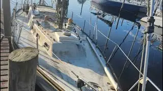 Pre Boat Survey … Things to Look For (part 1 of 3)
