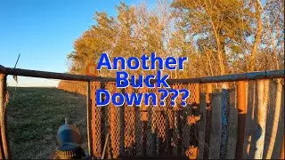Action Packed Day of Hunting! | Mississippi Deer Hunting 2025
