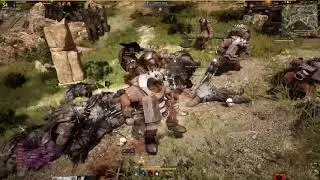 Black Desert Experience!
