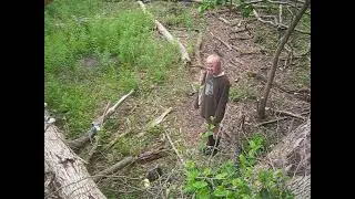 labagh woods chicago CREATURE FOUND