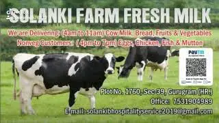 SOLANKI FRAM FRESH MILK