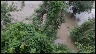Delhi Yamuna flood - Rajghat area Part -2
