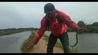 Mancing belut muara di sungai Niri | Muara Tawar | Part 2