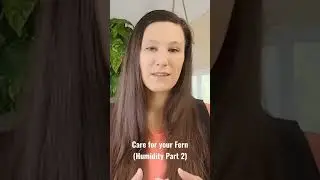 Basics Of Fern Care  How To Identify and Care For Your Ferns (Humidity Part 2)