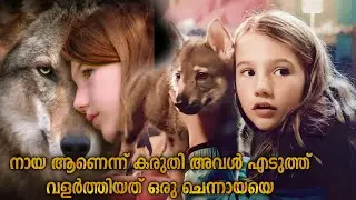 അവൾ അറിഞ്ഞില്ല അത് ഒരു ചെന്നായ ആണെന്ന് |Vicky and Her Mystery |Malayalam explanation