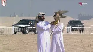 المتأهل 25 في بطولة هدد التحدي - مرمي 2026