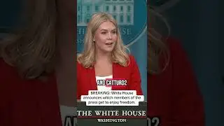 Freedom (of the press) isn&rsquo;t free. #whitehouse #trump #presssecretary #ai #comedyvideo