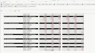 Demo: Intercompany Matching with SAP BPC