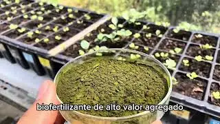 Apresentação Projeto NEOBIOFARM da Estrela Biotech Labs.