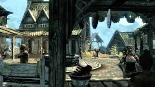 The Elder Scrolls Skyrim - Beta Version